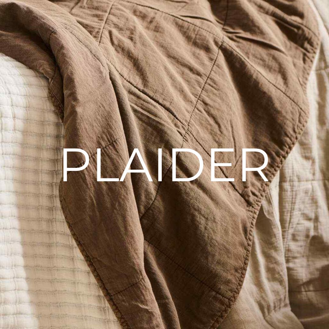 plaider2