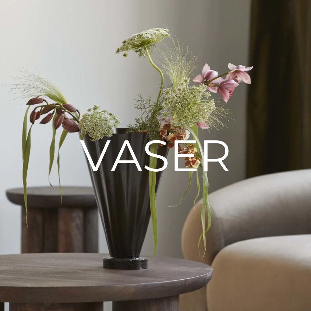 vaser2