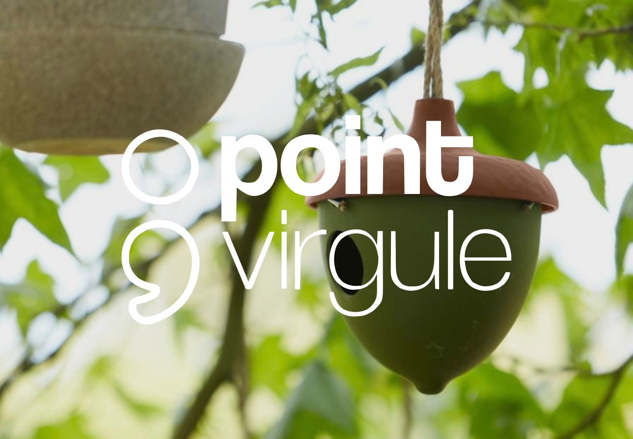 point virgule