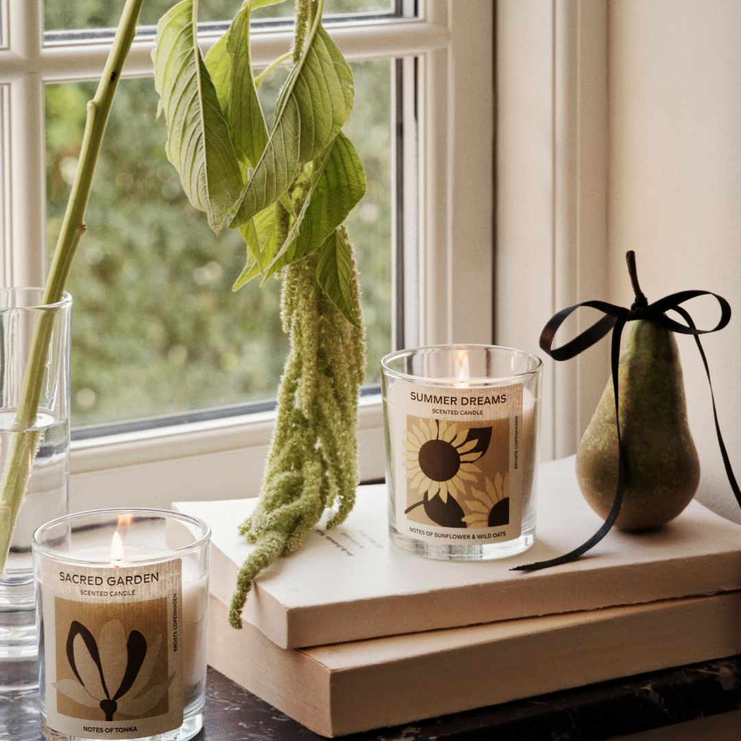 Zwei Duftkerzen am Fenster neben einer grünen Pflanze