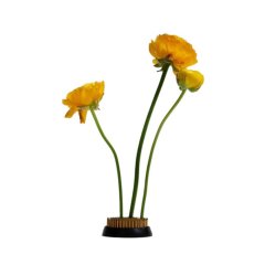 Overige Woonaccessoires