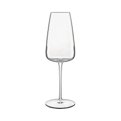 Champagnegl&auml;ser