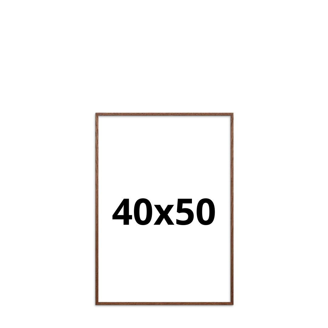 Plakater 40x50 WWW.HJEM.DK ApS