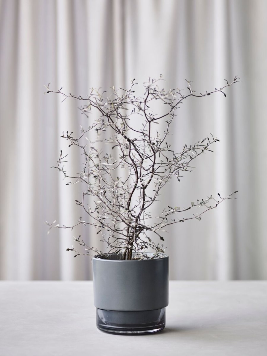 Lucie Kaas Gro Urtepotte H12,5 cm, Gun metal