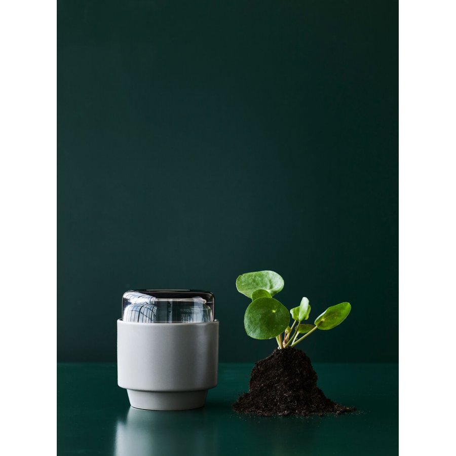 Lucie Kaas Gro Urtepotte H12,5 cm, Gun metal