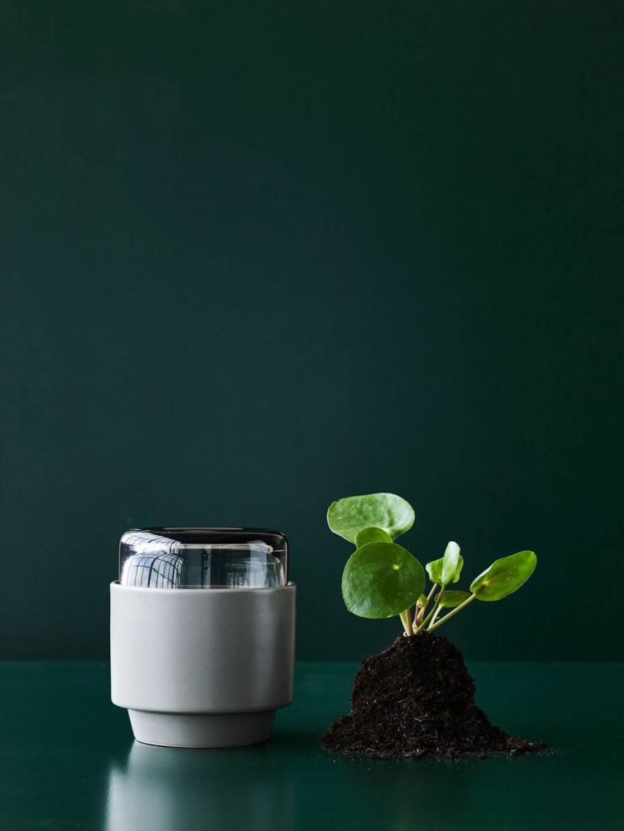Lucie Kaas Gro Urtepotte H12,5 cm, Gun metal