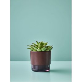 Lucie Kaas Gro Urtepotte H15, Red Mahogany