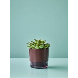 Lucie Kaas Gro Urtepotte H12,5, Red Mahogany