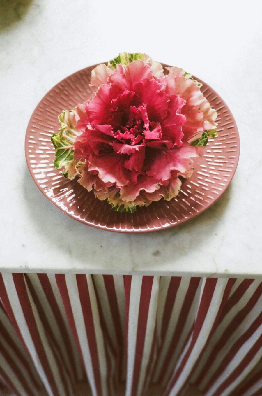 aida Confetti Tallerken 24 cm, Bordeaux