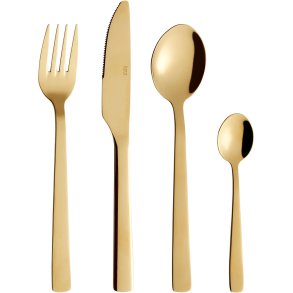 RAW Bestikst 48 Dele, Guld