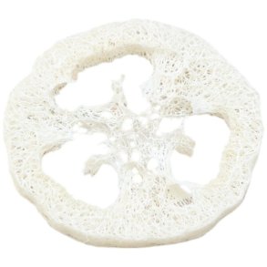 Amalie Rosalie Luffaschwamm