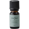 Amalie Rosalie terisk Olie 10 ml, Focus & Clarity