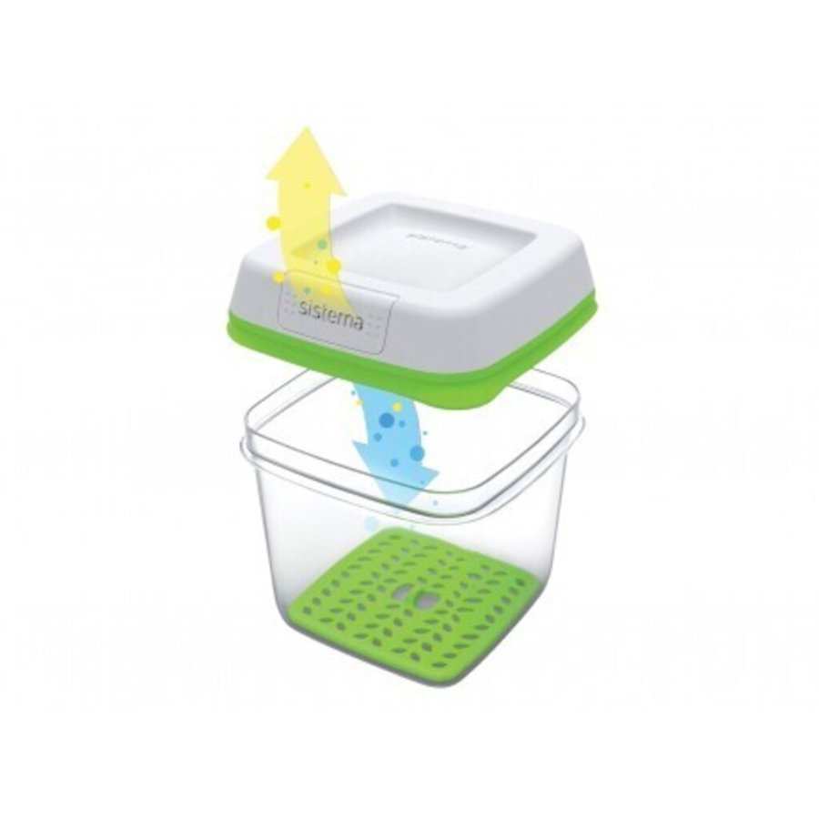 Sistema FreshWorks Opbevaringsboks 2,6 L, Grn