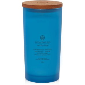 Chesapeake Bay Mind & Body Duftlys m. Trlg 16,3 cm, Oak Moss Amber