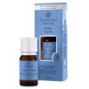 Chesapeake Bay Mind & Body Duft-l fr Diffuser 10 ml, Clarity