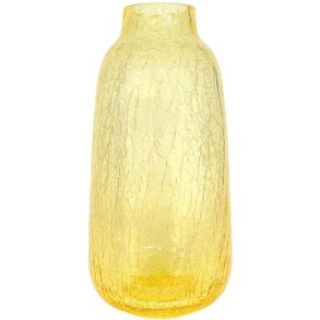 Anna von Lipa Frosty Vase H26 cm, Zitrone