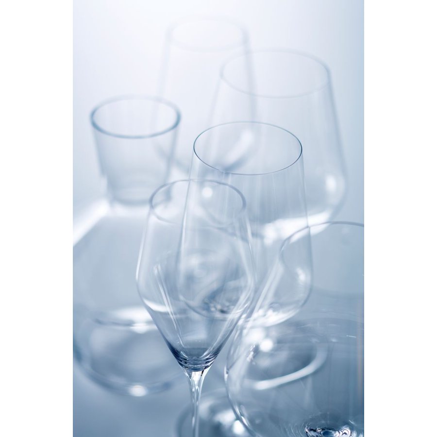 Zalto Denk'Art Champagneglas 2 stk. 25 cl