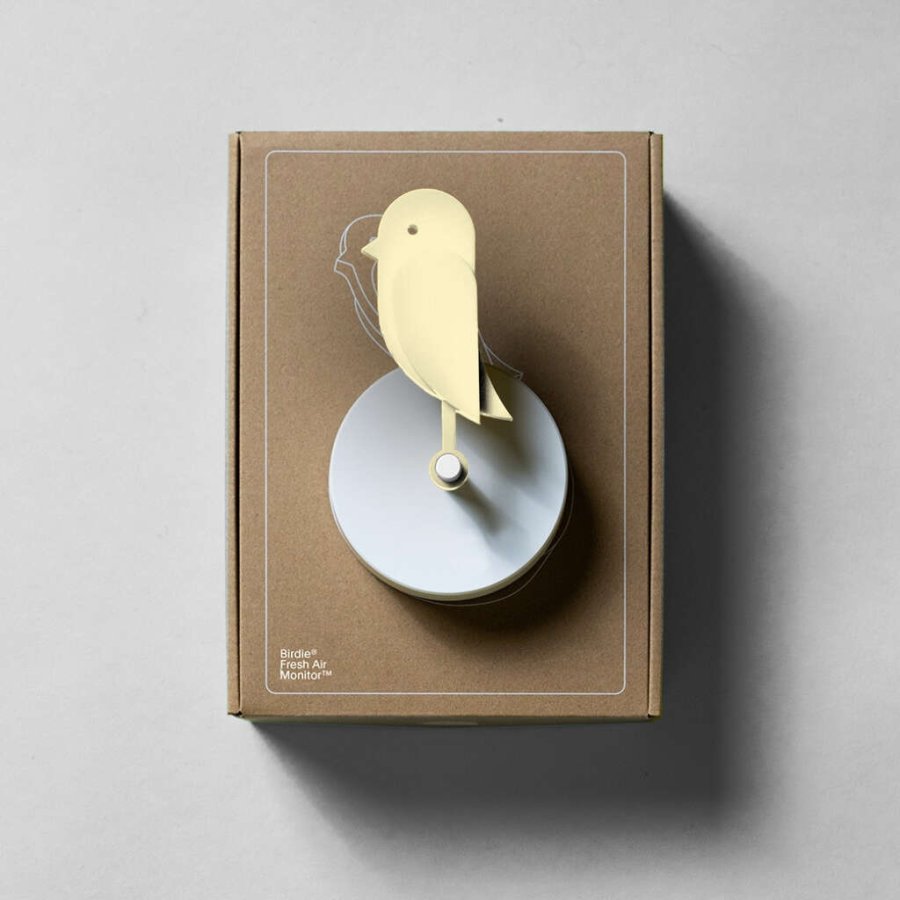 Birdie 2.0 Indeklimamler, Dune