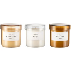 blomus VALOA Duftkerzen 3er Set 7/H7 cm, Ylang Ylang/Neroli/Bergamotte
