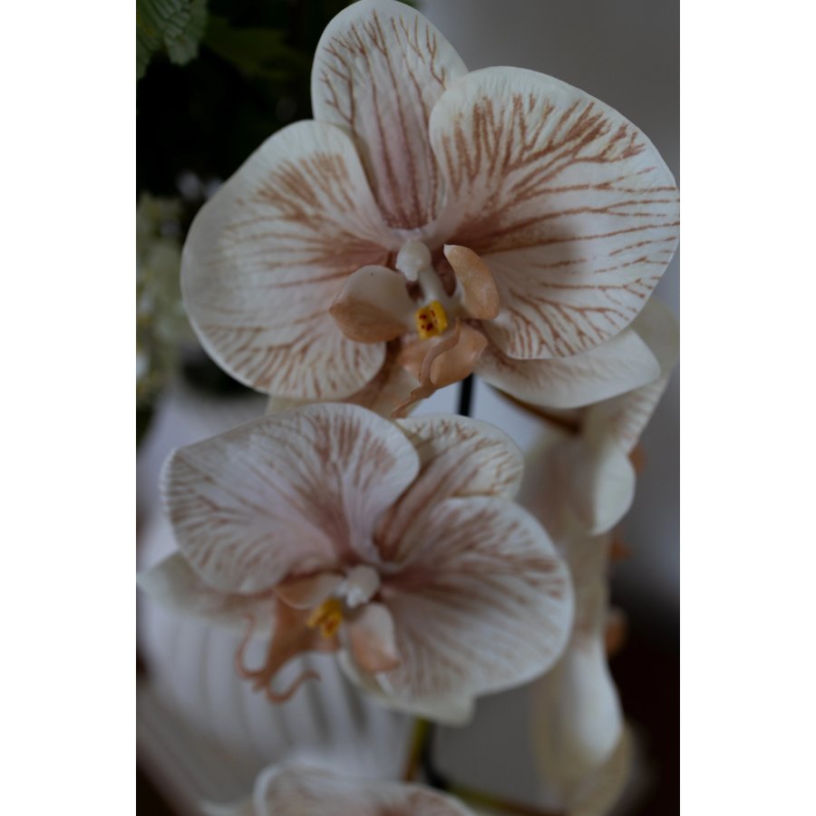 BLOOM OBJECTS Soft Sand Strau