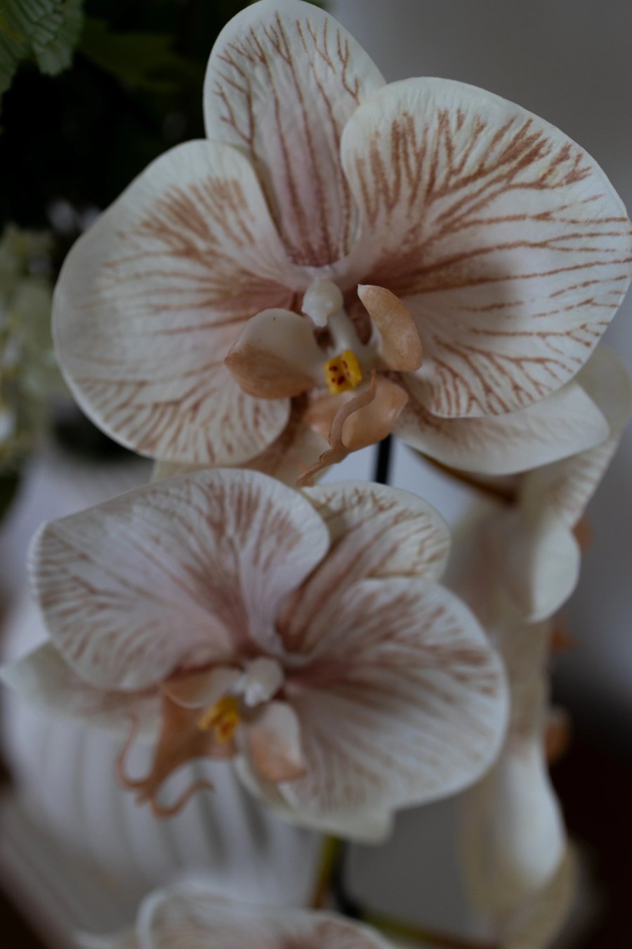 BLOOM OBJECTS Soft Sand Strau