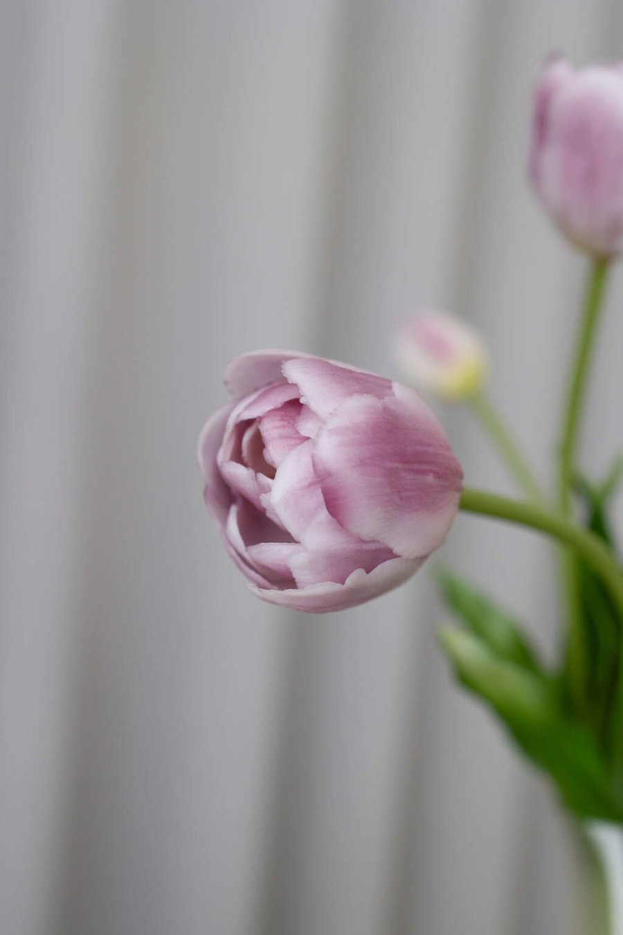 BLOOM OBJECTS Knstliche Tulpen Gefllter Strau 40 cm, Lila