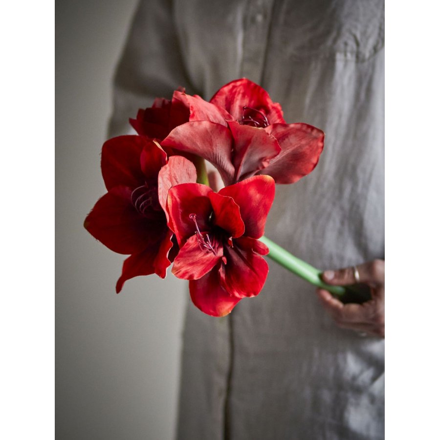 Bloomingville Amaryllis Kunstig Stilk 74 cm, R�d