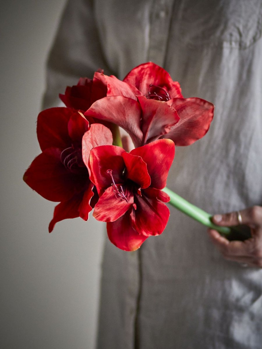 Bloomingville Amaryllis Kunstig Stilk 74 cm, R�d