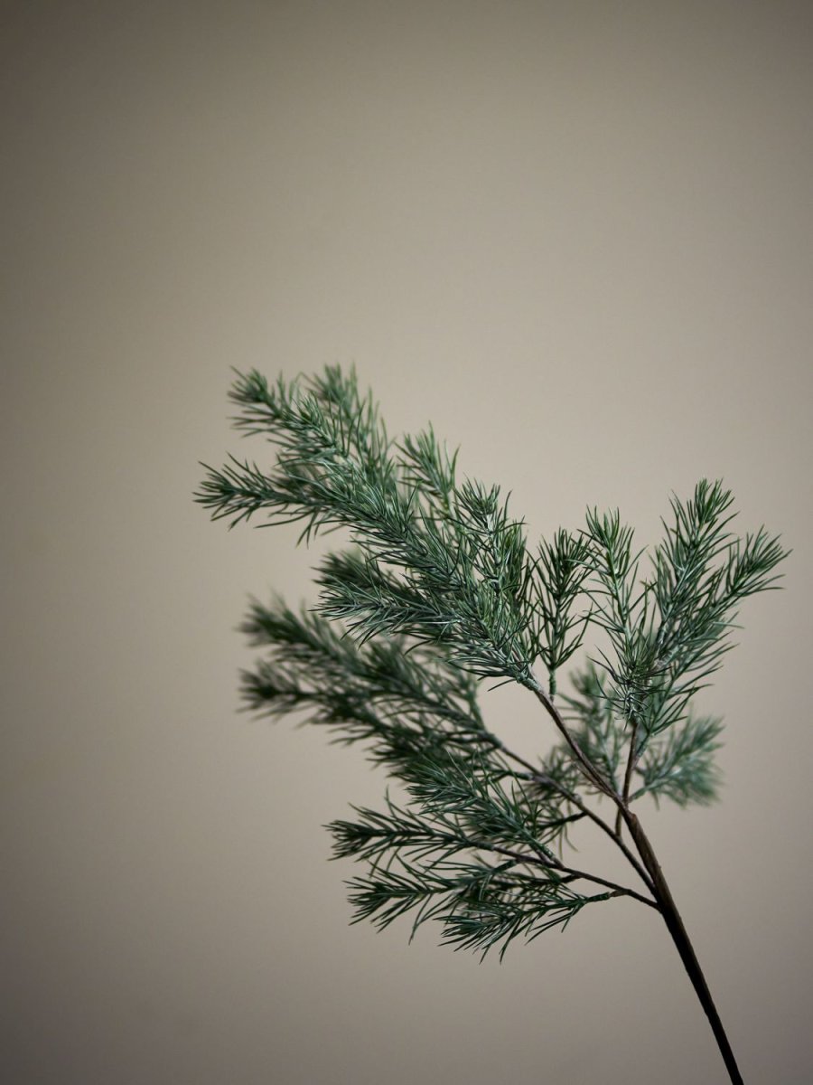 Bloomingville Pine Kunstig Stilk 73 cm, Gr�n