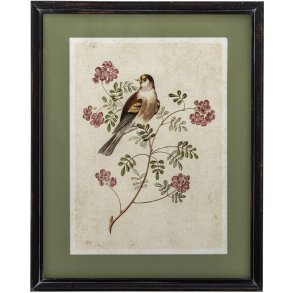 Creative Collection Renji Illustration m. Ramme 40x50 cm, Fyrretr�