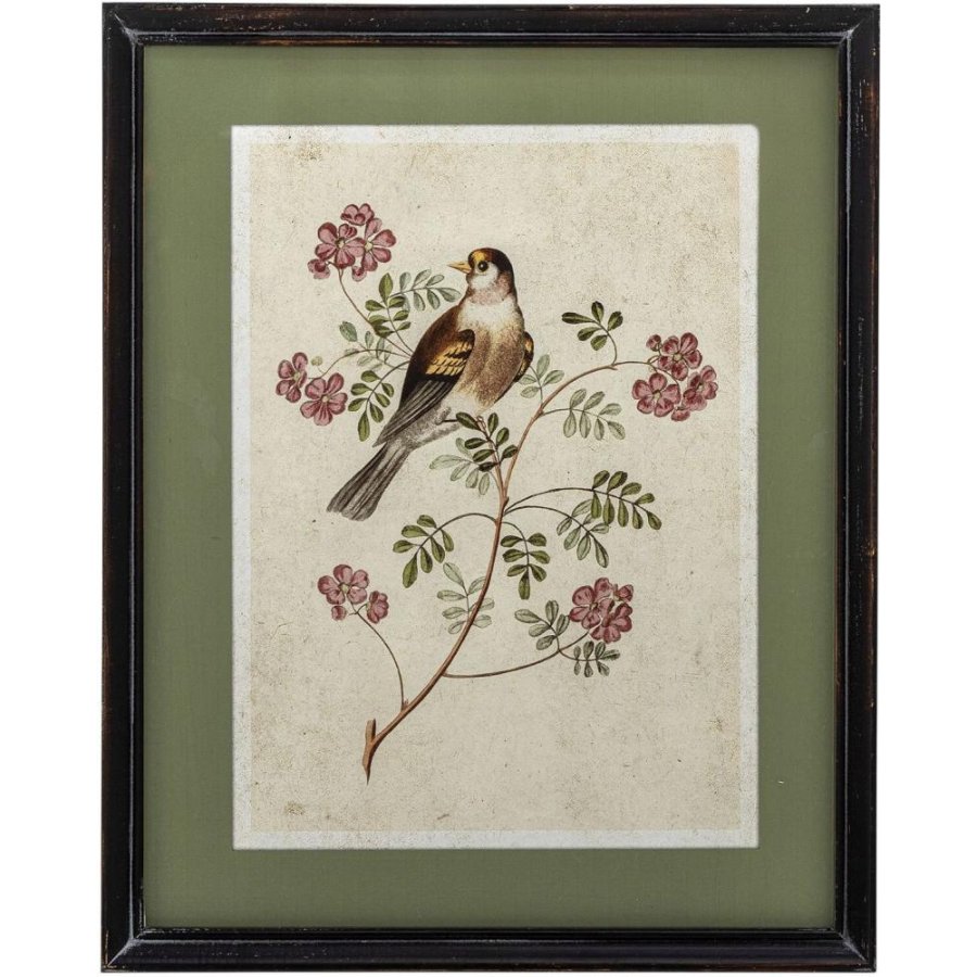 Creative Collection Renji Illustration m. Ramme 40x50 cm, Fyrretr�