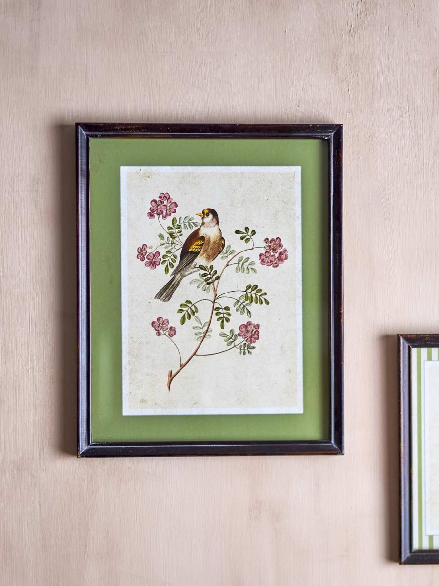 Creative Collection Renji Illustration m. Ramme 40x50 cm, Fyrretr�