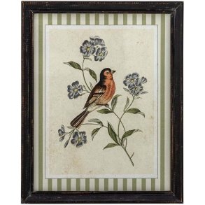 Creative Collection Renji Illustration m. Ramme 28x35,5 cm, Fyrretr�