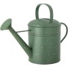 Creative Collection Anemone Vandkande 5,5 L, Grn
