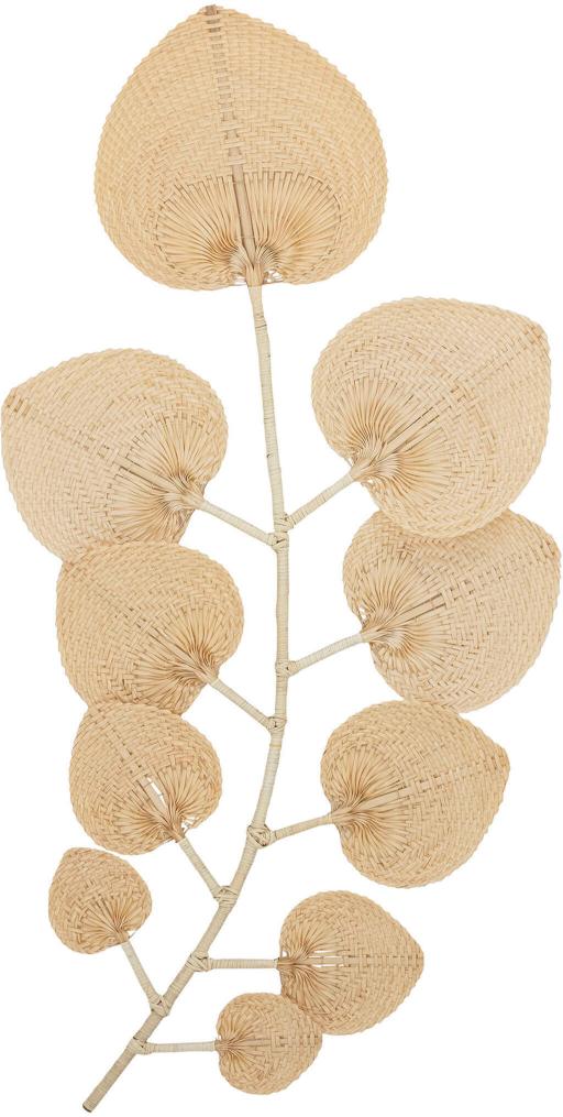 toom bambus pflanze Nicht wuchernder Bambus 'Pingwu' kaufen | Fargesia robusta 'Pingwu' main image 1