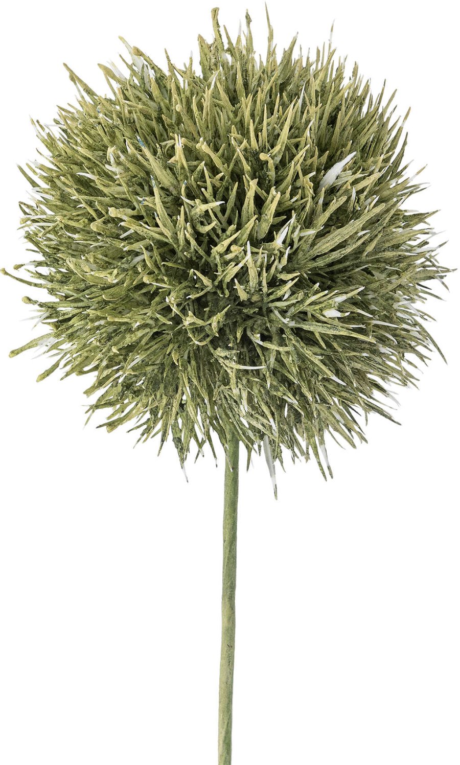 Bloomingville Allium Künstlicher Stiel 62 cm, Grün