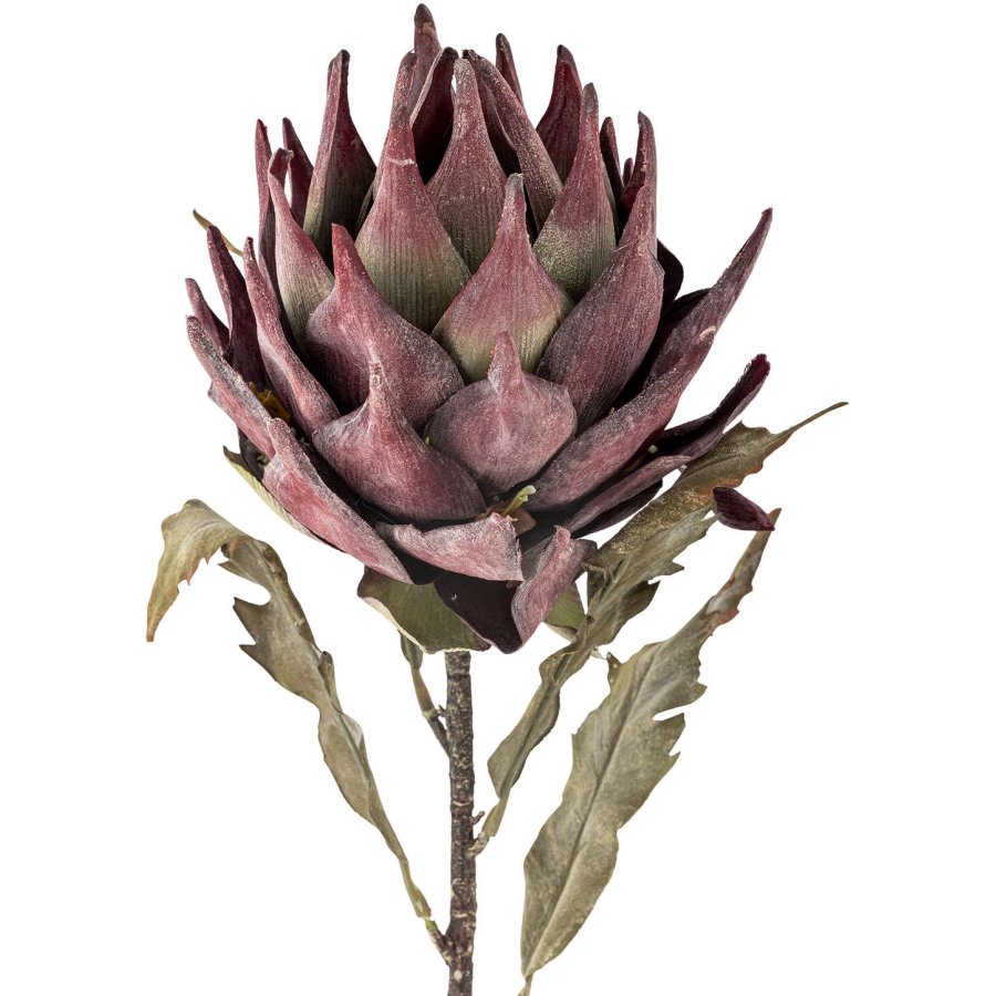 Bloomingville Protea Künstlicher Stiel 76 cm, Lila