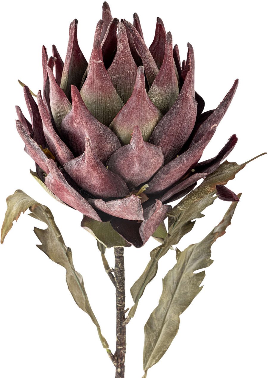 Bloomingville Protea Künstlicher Stiel 76 cm, Lila