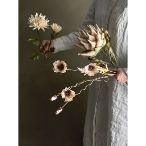 Bloomingville Protea Kunstig Stilk 76 cm, Natur