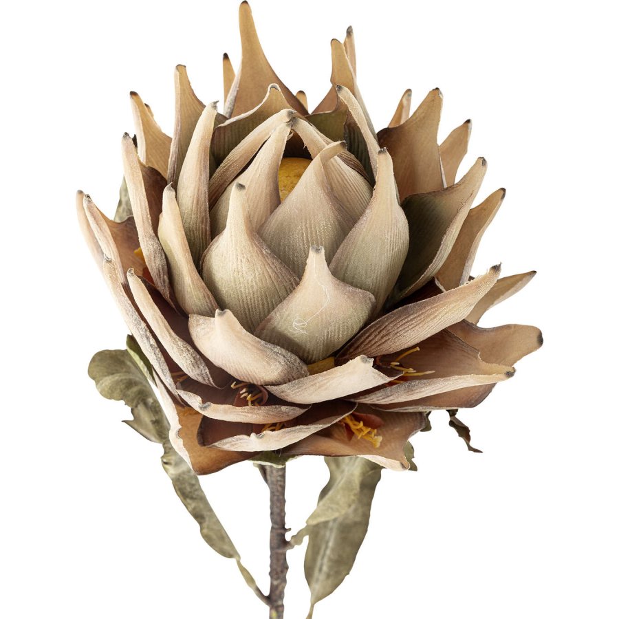 Bloomingville Protea Künstlicher Stiel 76 cm, Natur