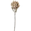 Bloomingville Protea Künstlicher Stiel 76 cm, Natur