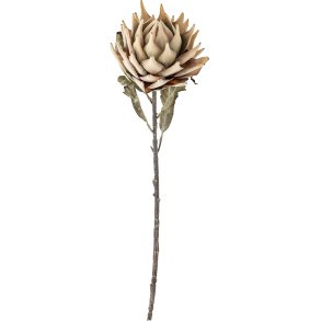 Bloomingville Protea Kunstig Stilk 76 cm, Natur