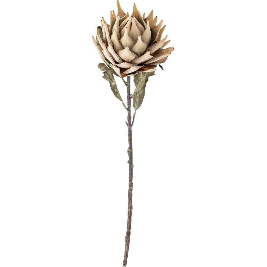 Bloomingville Protea Künstlicher Stiel 76 cm, Natur