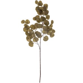 Bloomingville Eucalyptus Knstlicher Stiel 86 cm, Braun