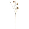 Bloomingville Poppy Künstlicher Stiel 104 cm, Natur