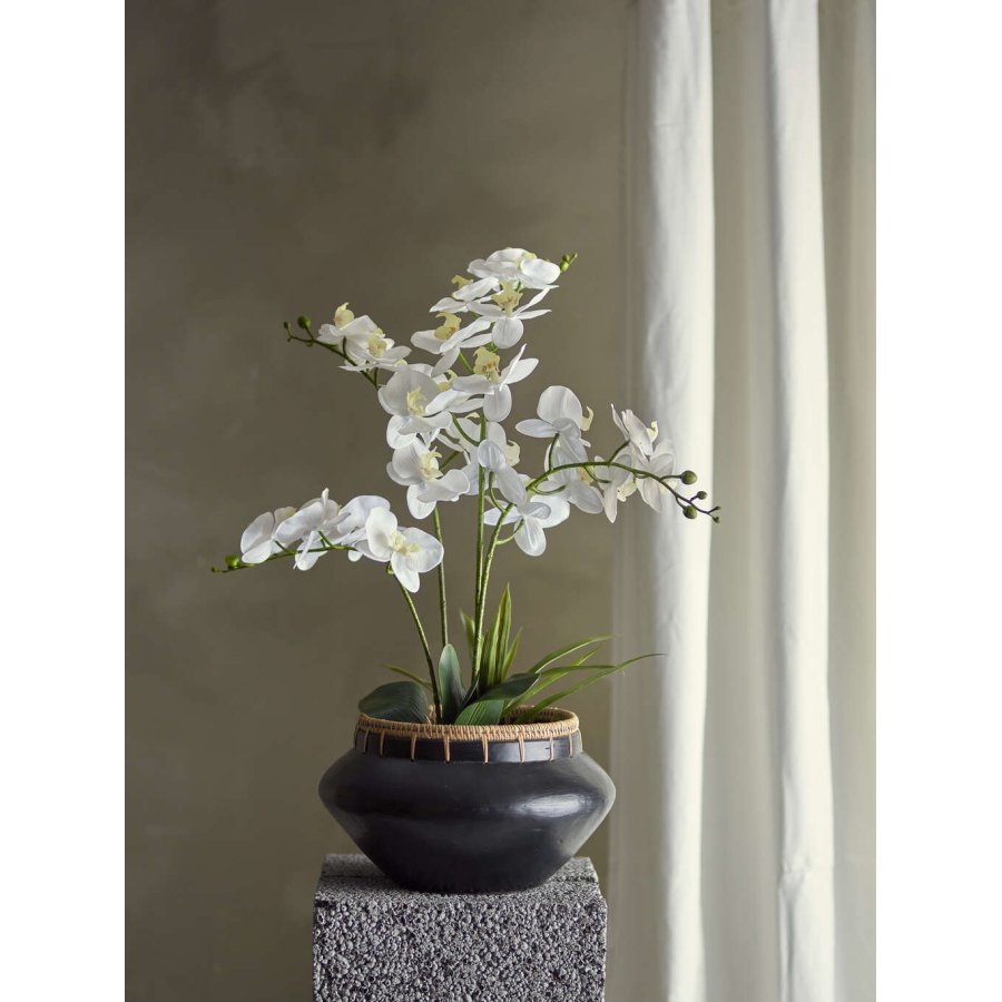 Bloomingville Orchid Kunstig Plante H84 cm, Grn