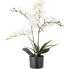 Bloomingville Orchid Knstliche Pflanze H84 cm, Grn