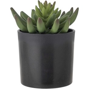 Bloomingville Echeveria Knstliche Pflanze H14 cm, Grn