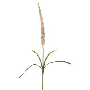 Bloomingville Foxtail Knstlicher Stiel 73 cm, Rosa