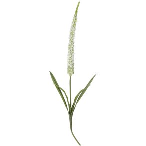 Bloomingville Foxtail Knstlicher Stiel 73 cm, Wei